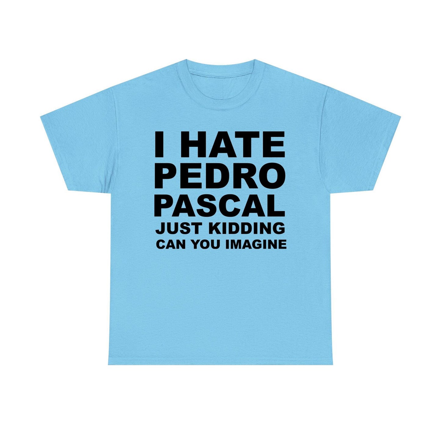 I Hate Pedro Pascal Just Kidding Can You Imagine Standard T Shirt