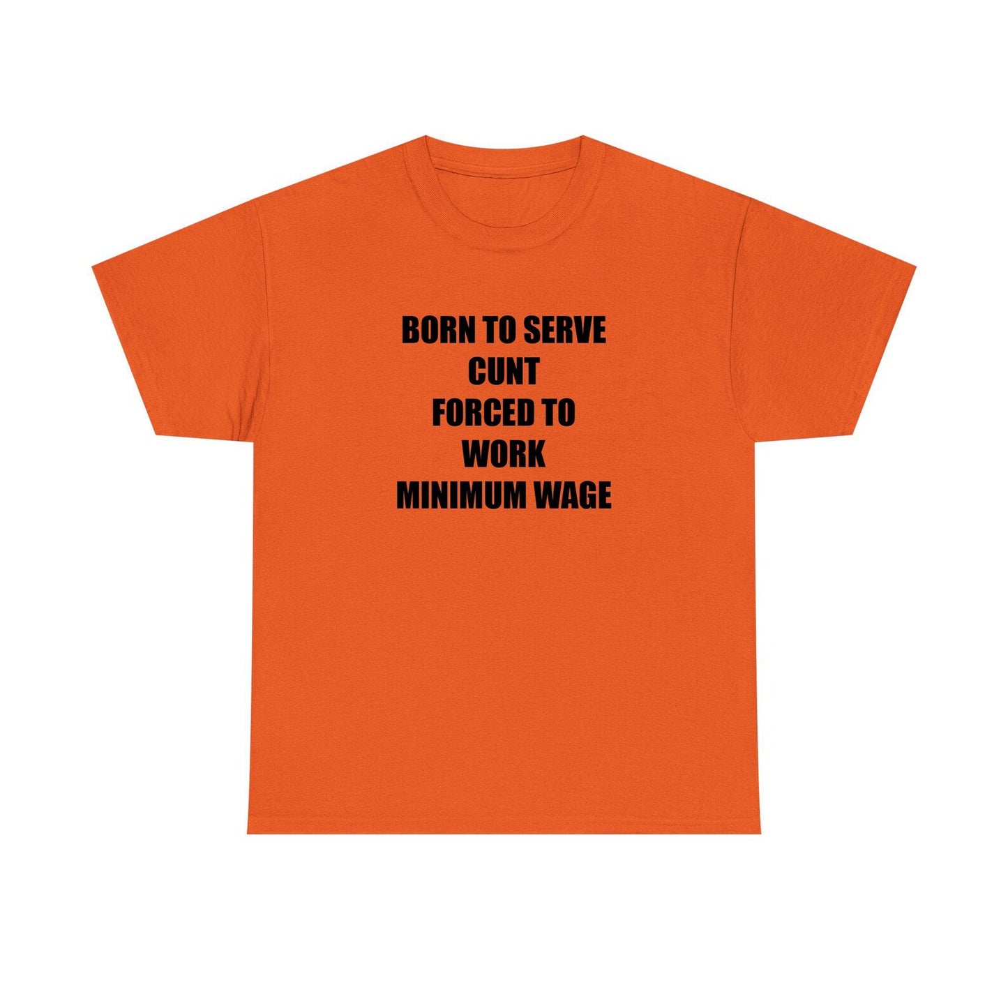 Born To Serve Cunt Forced To Work Minimum Wage Standard T Shirt
